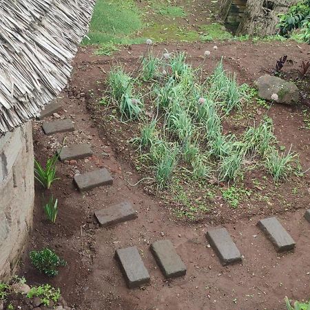 Mai Kilimanjaro Home Stay Marangu Exterior photo