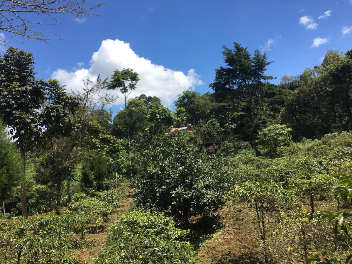 Mai Kilimanjaro Home Stay Marangu Exterior photo