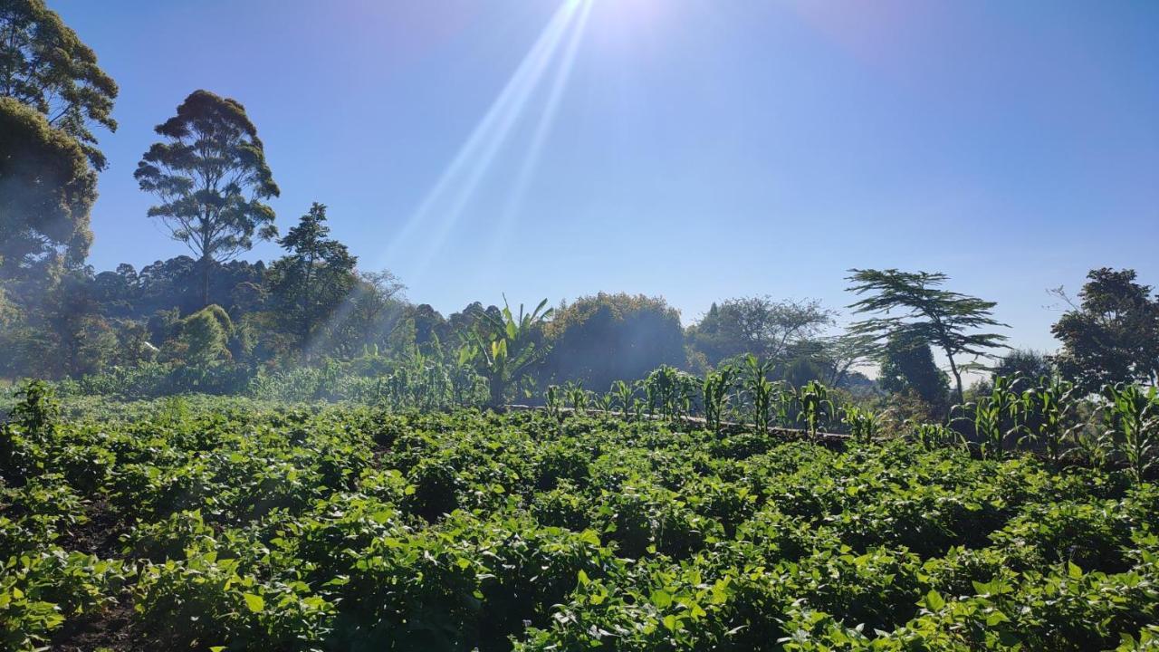 Mai Kilimanjaro Home Stay Marangu Exterior photo